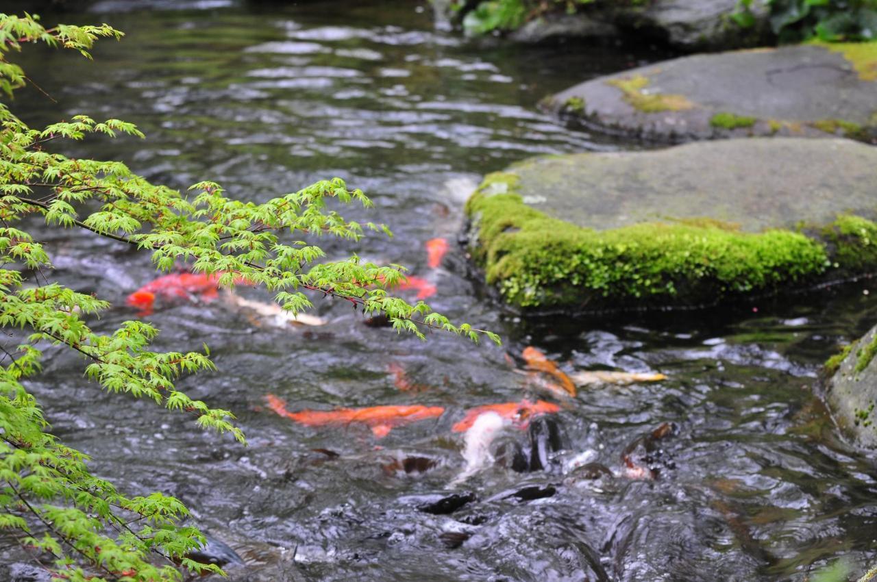 Yoshiike Ryokan Hakone Bagian luar foto