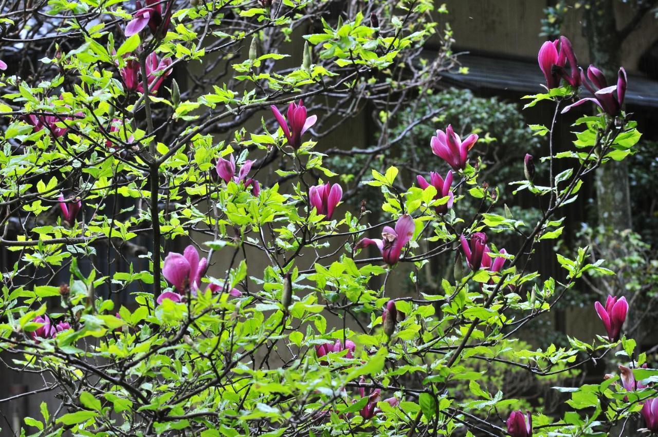Yoshiike Ryokan Hakone Bagian luar foto